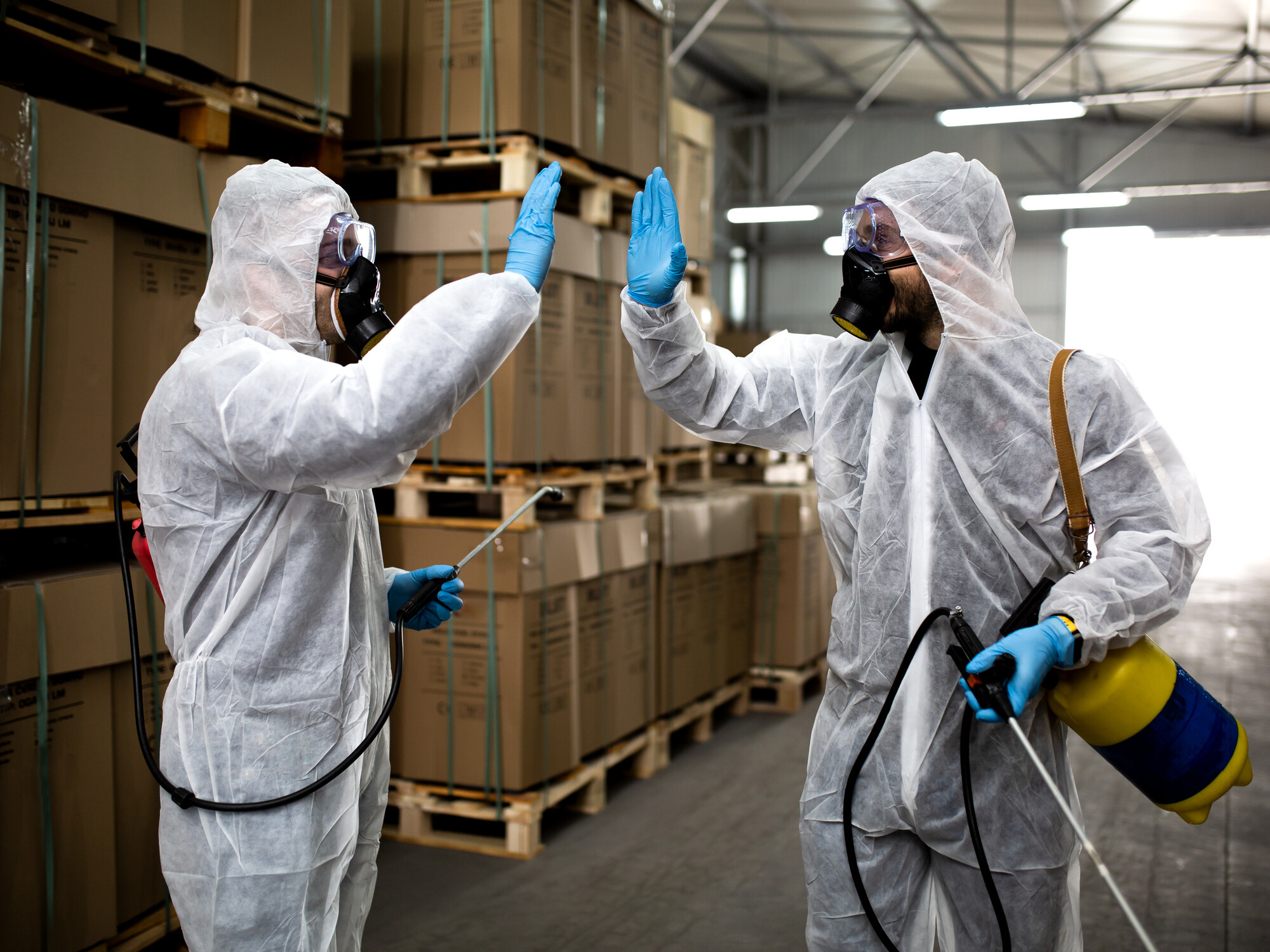 Commercial Pest Control: Essential for Maintaining Cleanliness